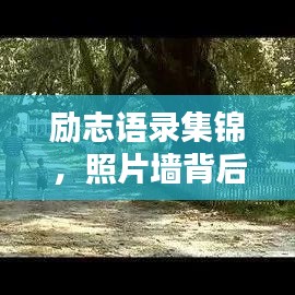 勵志語錄集錦，照片墻背后的力量
