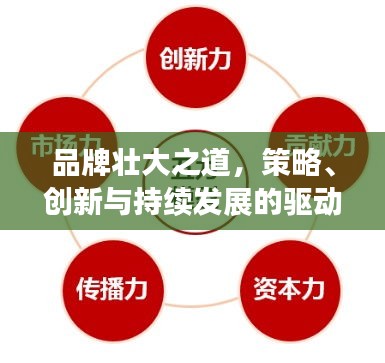 品牌壯大之道，策略、創(chuàng)新與持續(xù)發(fā)展的驅(qū)動(dòng)力