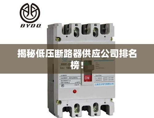 揭秘低壓斷路器供應公司排名榜！