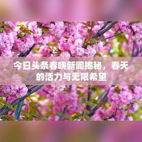 今日頭條春曉新聞揭秘，春天的活力與無限希望