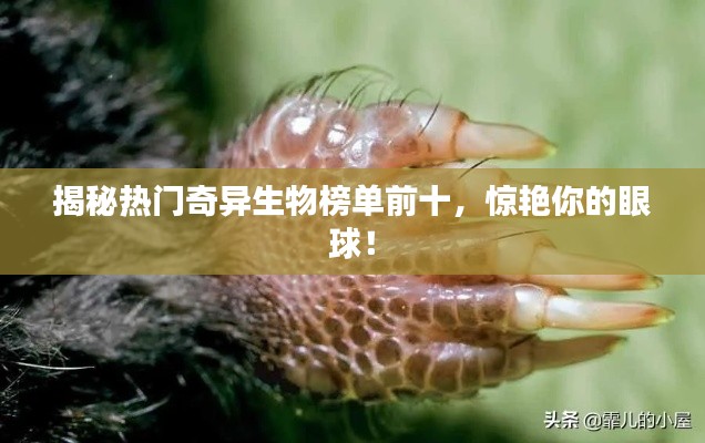 揭秘熱門奇異生物榜單前十，驚艷你的眼球！