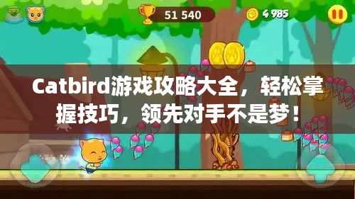 Catbird游戲攻略大全，輕松掌握技巧，領(lǐng)先對手不是夢！