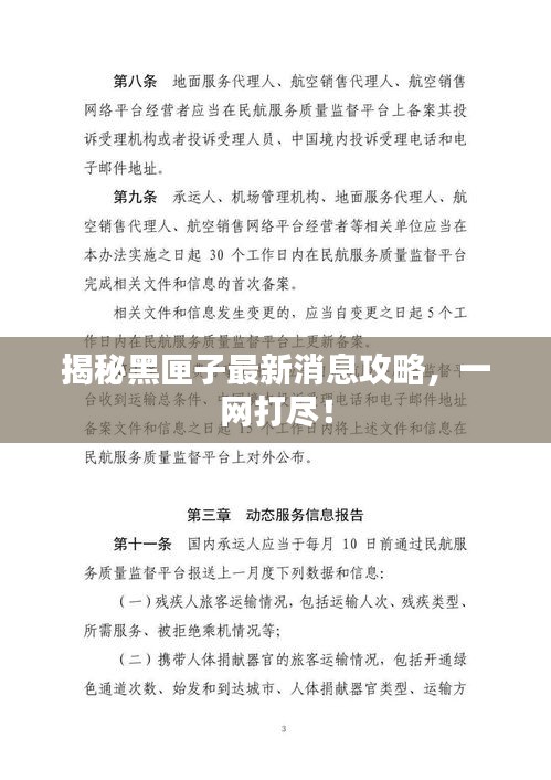 揭秘黑匣子最新消息攻略，一網(wǎng)打盡！