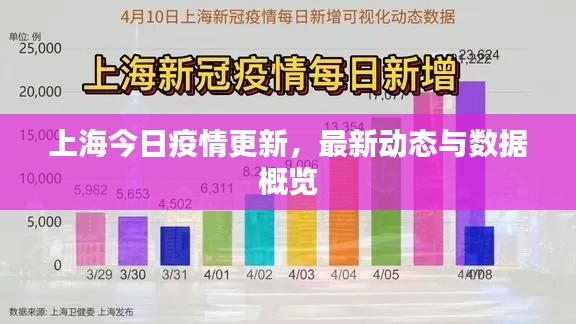 上海今日疫情更新，最新動態(tài)與數(shù)據(jù)概覽