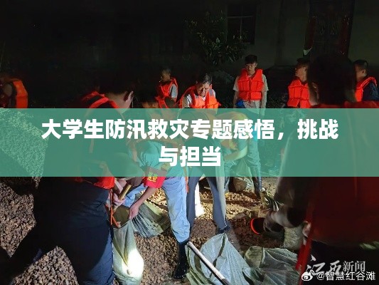 大學(xué)生防汛救災(zāi)專題感悟，挑戰(zhàn)與擔(dān)當(dāng)