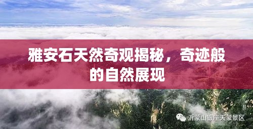 雅安石天然奇觀揭秘，奇跡般的自然展現(xiàn)