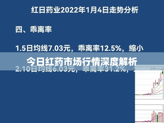 今日紅藥市場(chǎng)行情深度解析