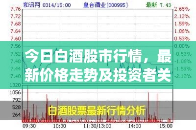 今日白酒股市行情，最新價(jià)格走勢(shì)及投資者關(guān)注焦點(diǎn)