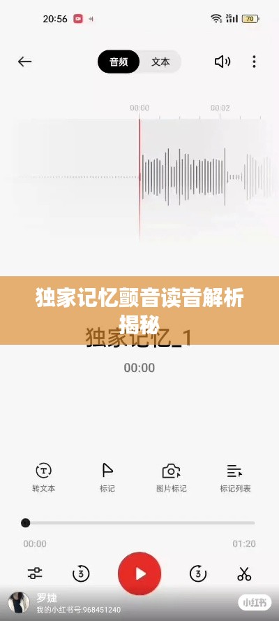 獨(dú)家記憶顫音讀音解析揭秘