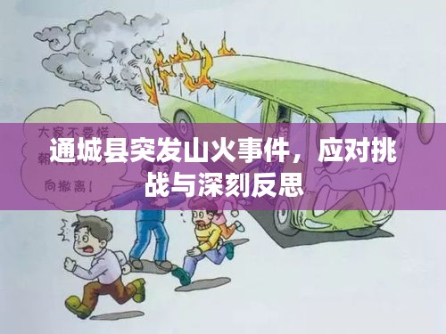 通城縣突發(fā)山火事件，應(yīng)對(duì)挑戰(zhàn)與深刻反思