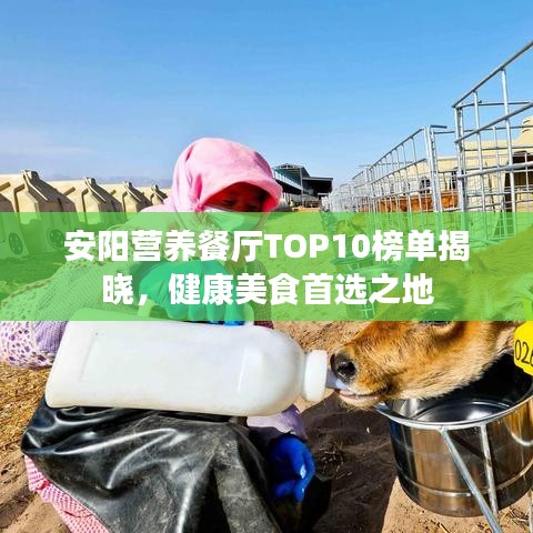 安陽(yáng)營(yíng)養(yǎng)餐廳TOP10榜單揭曉，健康美食首選之地