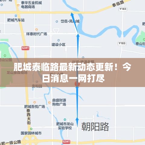 肥城泰臨路最新動(dòng)態(tài)更新！今日消息一網(wǎng)打盡