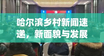 哈爾濱鄉(xiāng)村新聞速遞，新面貌與發(fā)展活力展現(xiàn)