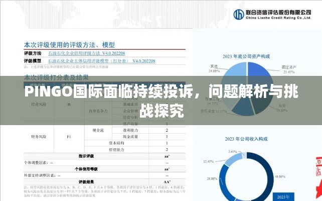 PINGO國際面臨持續(xù)投訴，問題解析與挑戰(zhàn)探究