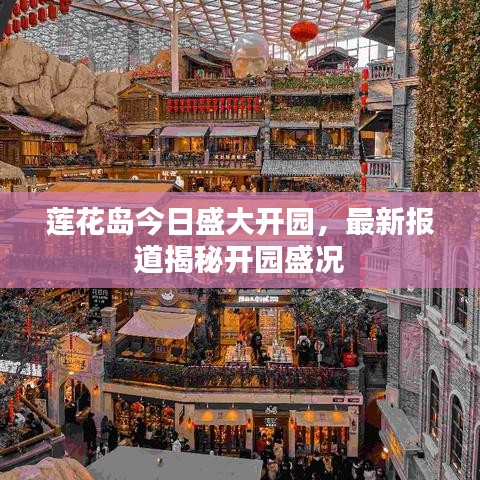 蓮花島今日盛大開園，最新報(bào)道揭秘開園盛況