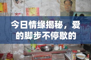 今日情緣揭秘，愛的腳步不停歇的最新動態(tài)