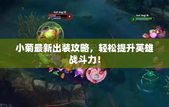 小菊最新出裝攻略，輕松提升英雄戰(zhàn)斗力！