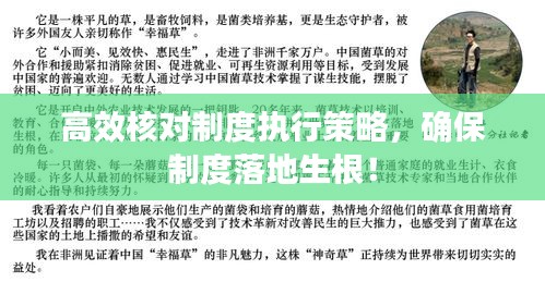 高效核對(duì)制度執(zhí)行策略，確保制度落地生根！