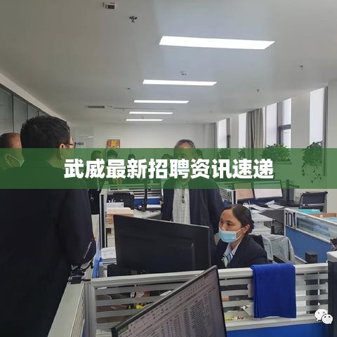 武威最新招聘資訊速遞