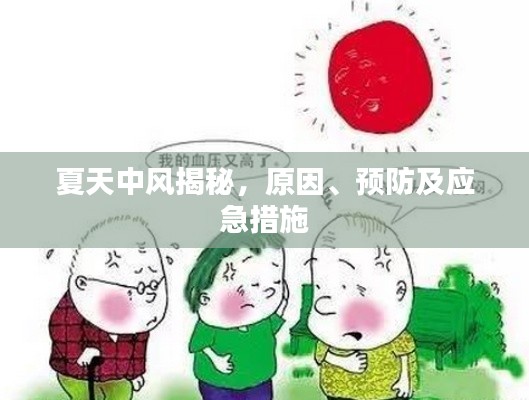 夏天中風(fēng)揭秘，原因、預(yù)防及應(yīng)急措施