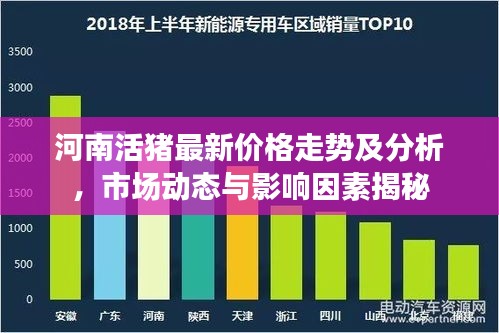 河南活豬最新價格走勢及分析，市場動態(tài)與影響因素揭秘