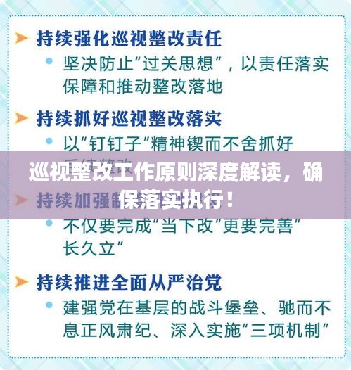 巡視整改工作原則深度解讀，確保落實執(zhí)行！
