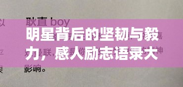 明星背后的堅韌與毅力，感人勵志語錄大揭秘！
