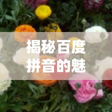 揭秘百度拼音的魅力，一鍵探索全面精準(zhǔn)的拼音查詢(xún)