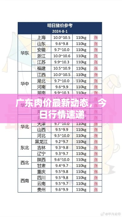 廣東肉價(jià)最新動(dòng)態(tài)，今日行情速遞