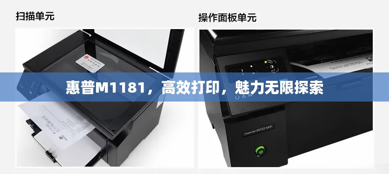 惠普M1181，高效打印，魅力無(wú)限探索