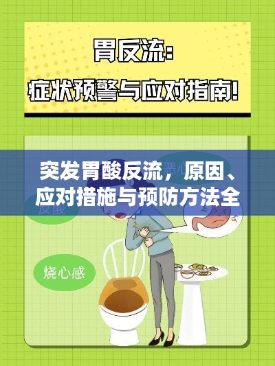 突發(fā)胃酸反流，原因、應(yīng)對措施與預(yù)防方法全解析