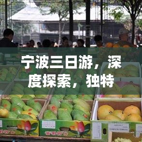 寧波三日游，深度探索，獨(dú)特體驗(yàn)之旅