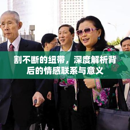 割不斷的紐帶，深度解析背后的情感聯(lián)系與意義