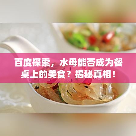 百度探索，水母能否成為餐桌上的美食？揭秘真相！