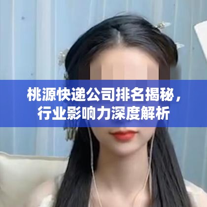 桃源快遞公司排名揭秘，行業(yè)影響力深度解析