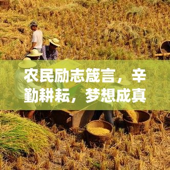 農(nóng)民勵(lì)志箴言，辛勤耕耘，夢(mèng)想成真時(shí)刻