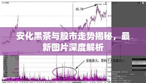 安化黑茶與股市走勢(shì)揭秘，最新圖片深度解析