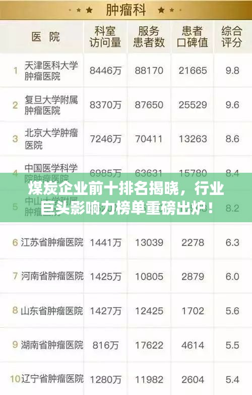 煤炭企業(yè)前十排名揭曉，行業(yè)巨頭影響力榜單重磅出爐！