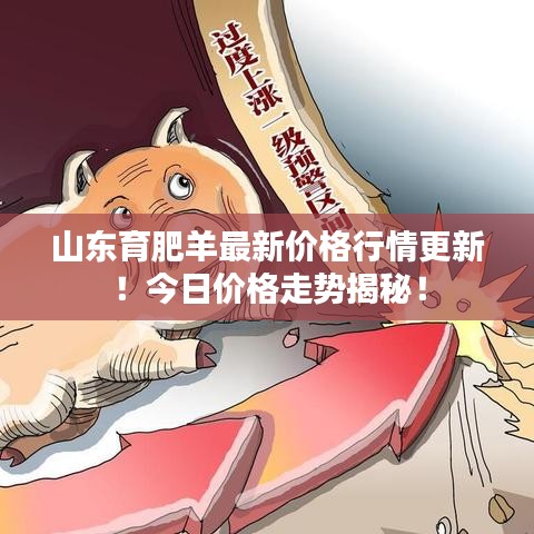山東育肥羊最新價(jià)格行情更新！今日價(jià)格走勢(shì)揭秘！