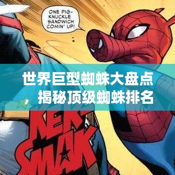 世界巨型蜘蛛大盤點，揭秘頂級蜘蛛排名！