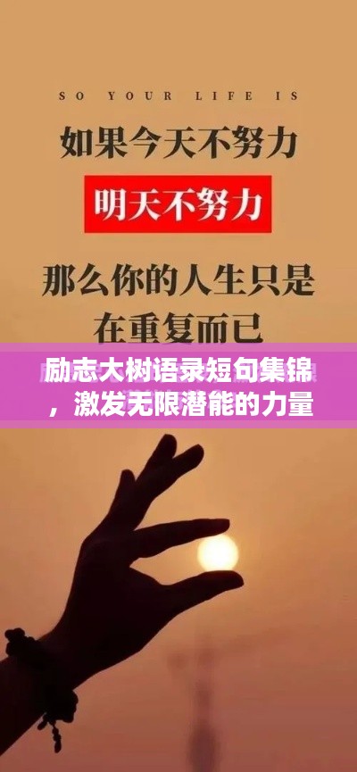 勵(lì)志大樹語錄短句集錦，激發(fā)無限潛能的力量之語