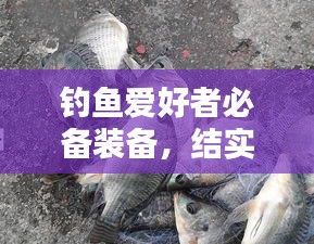 釣魚愛好者必備裝備，結(jié)實不斷的釣竿，讓你輕松釣上大魚！
