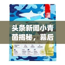 頭條新聞小青菌揭秘，幕后故事與巨大影響力