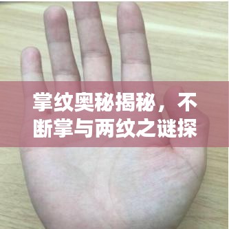掌紋奧秘揭秘，不斷掌與兩紋之謎探秘