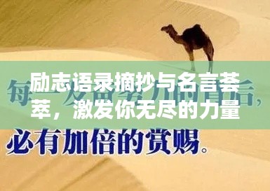 勵志語錄摘抄與名言薈萃，激發(fā)你無盡的力量源泉
