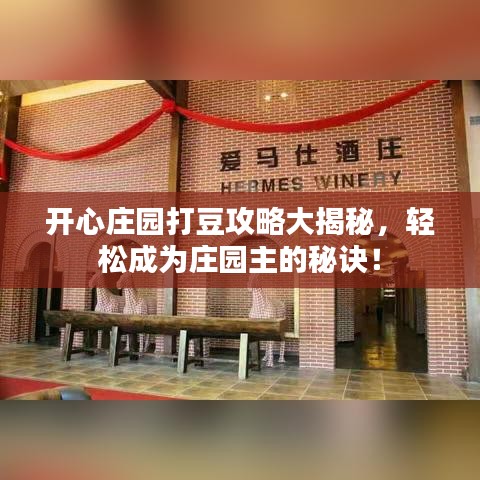 開心莊園打豆攻略大揭秘，輕松成為莊園主的秘訣！