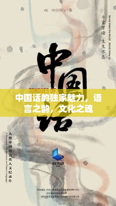中國話的獨家魅力，語言之韻，文化之魂