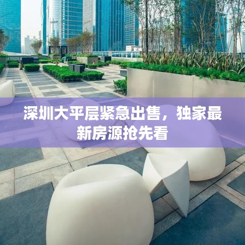 深圳大平層緊急出售，獨(dú)家最新房源搶先看