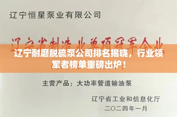 遼寧耐磨脫硫泵公司排名揭曉，行業(yè)領(lǐng)軍者榜單重磅出爐！