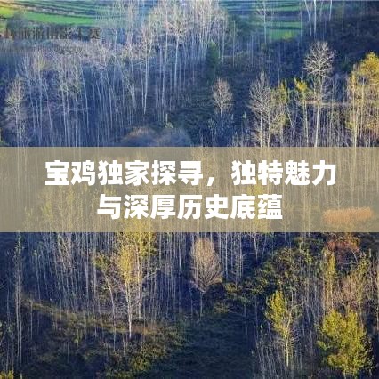 寶雞獨家探尋，獨特魅力與深厚歷史底蘊